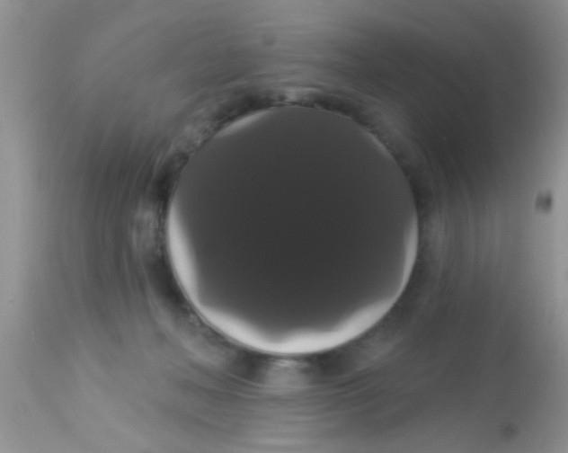 X0000113060222200909182008