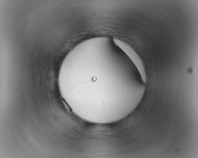 X0000113060223200909182008