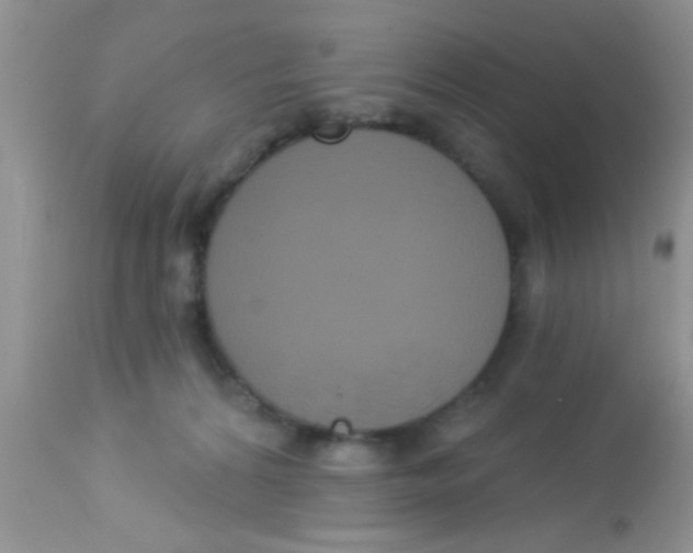 X0000113060224200909182008