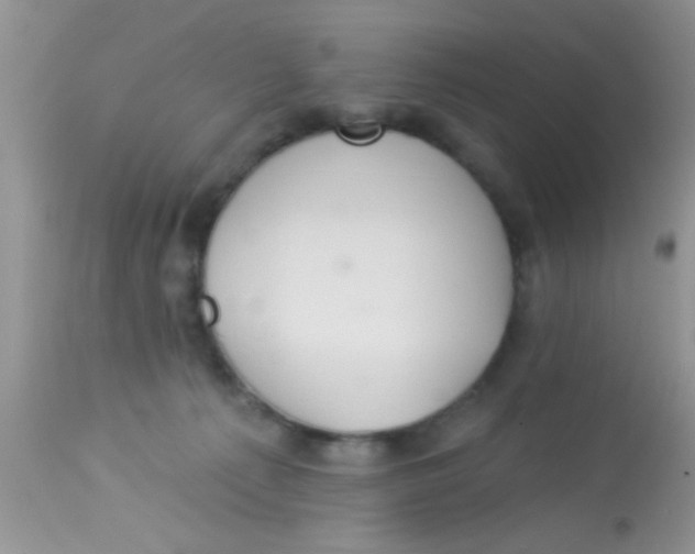 X0000113060225200909182008