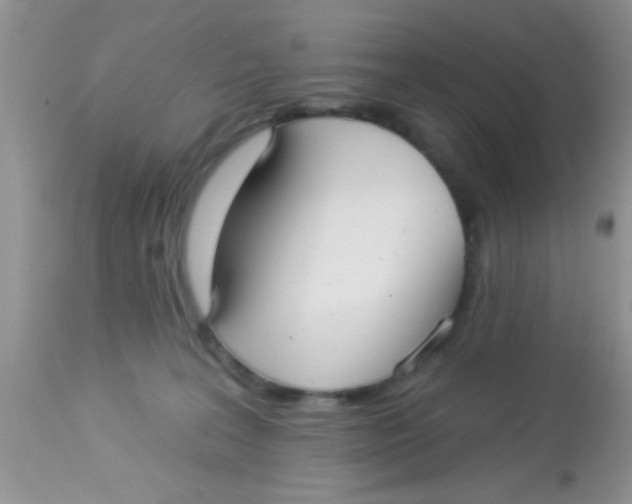 X0000113060227200909182008