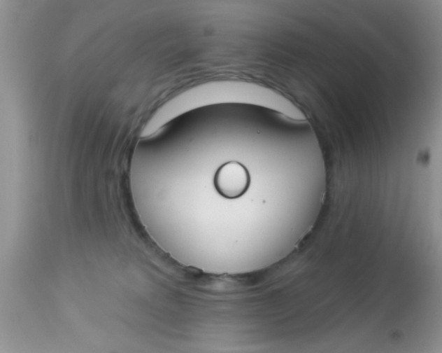 X0000113060229200909182008