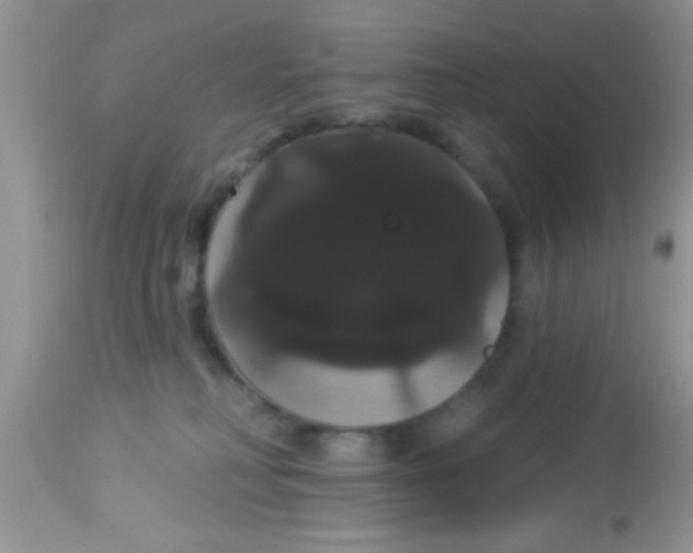 X0000113060230200909182008