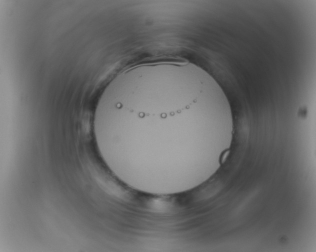 X0000113060232200909182008