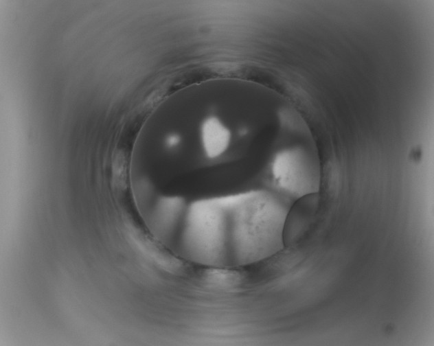 X0000113060234200909182008