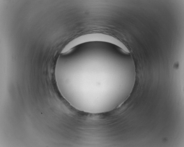 X0000113060235200909182008