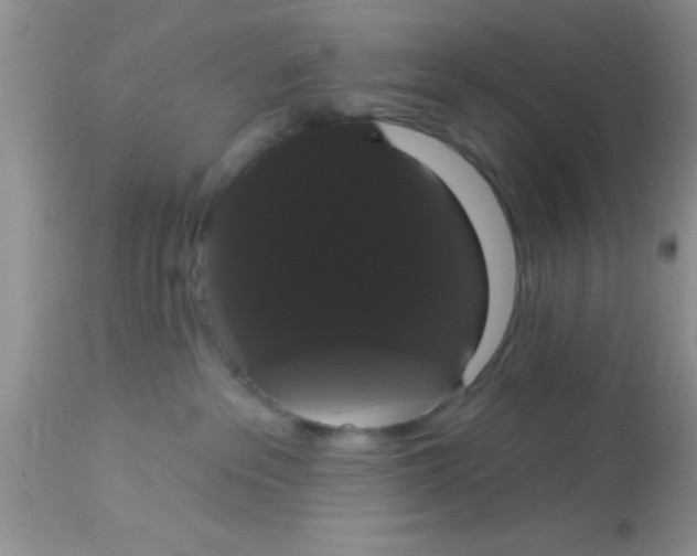 X0000113060237200909182008