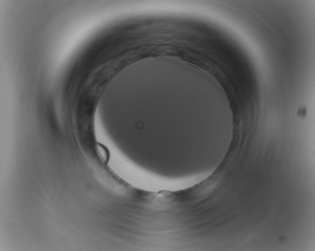 X0000113060239200909182008