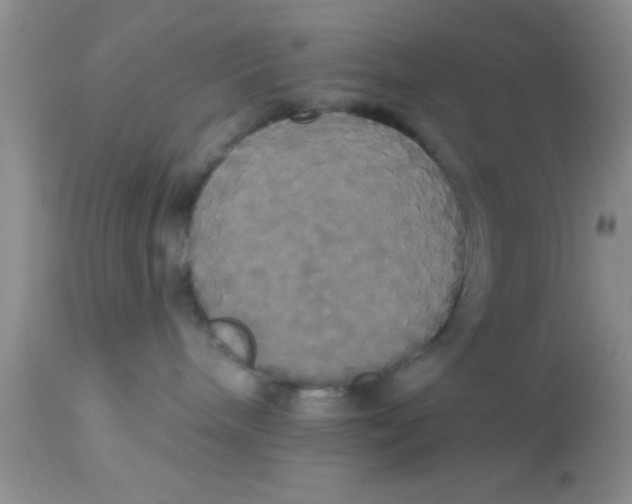 X0000113060240200909182008