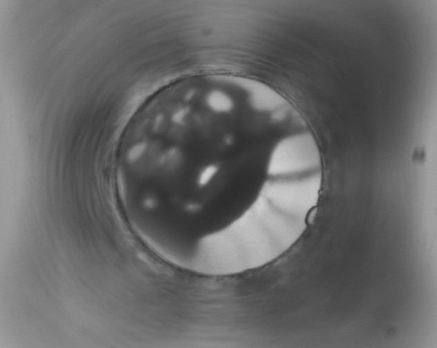 X0000113060241200909182007