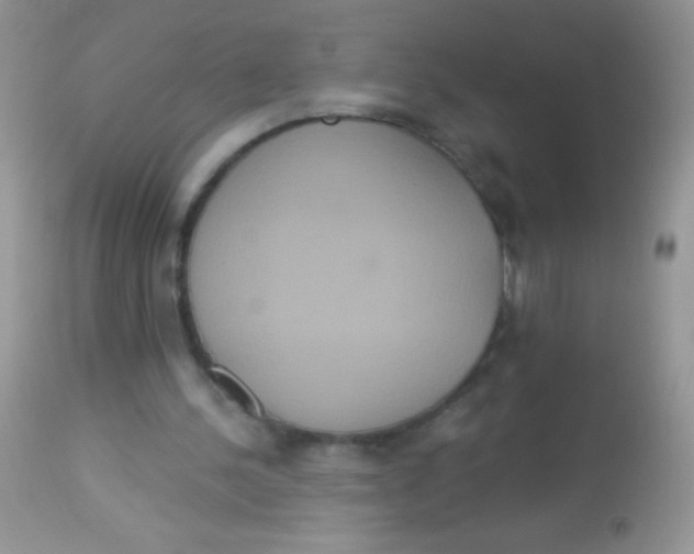 X0000113060244200909182007