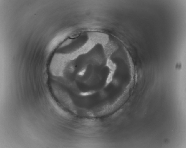 X0000113060245200909182007