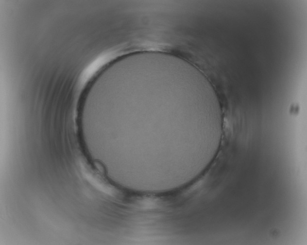 X0000113060246200909182007