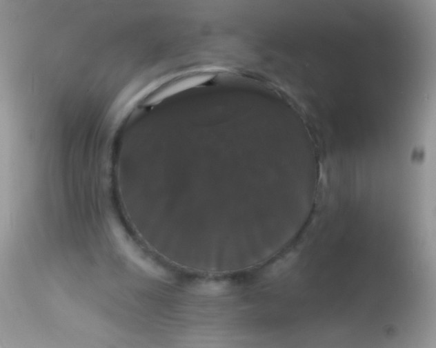 X0000113060247200909182007