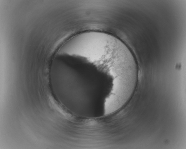 X0000113060249200909182007