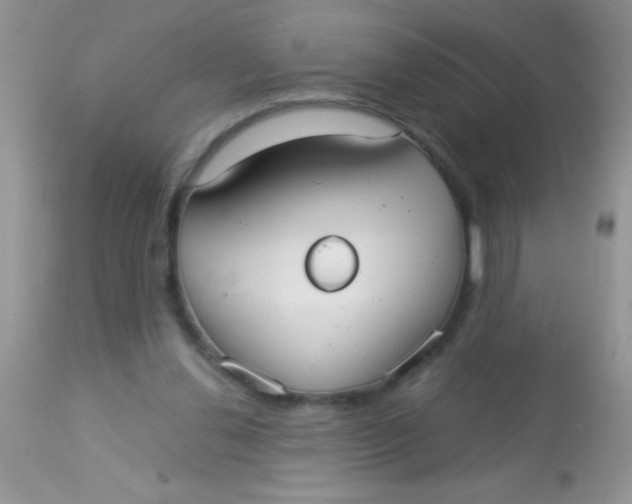 X0000113060252200909182007