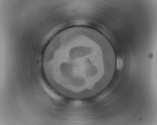 X0000113060253200909182007