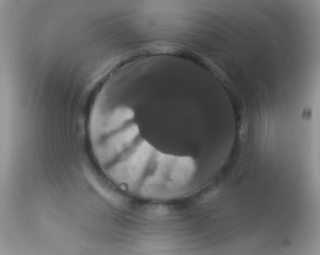 X0000113060254200909182007