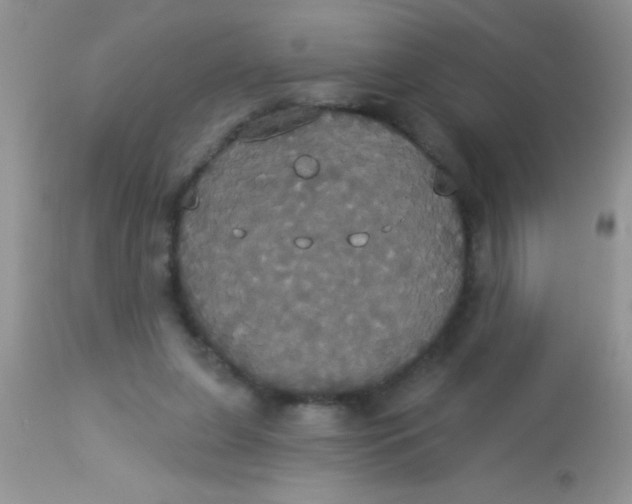 X0000113060255200909182008