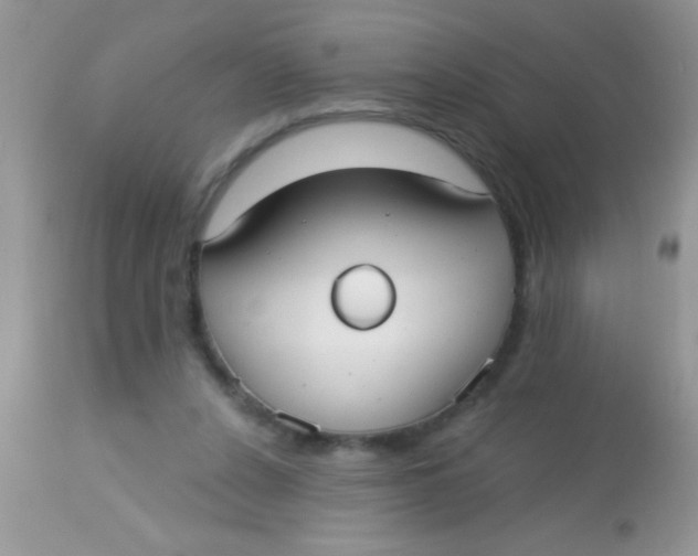 X0000113060256200909182008