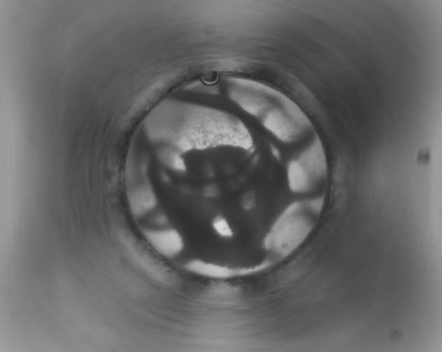 X0000113060257200909182008