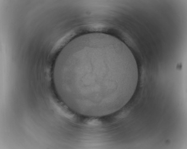 X0000113060258200909182008