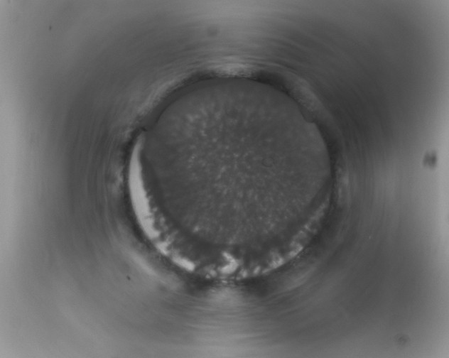 X0000113060259200909182008