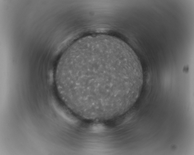 X0000113060262200909182008