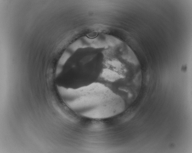 X0000113060263200909182008