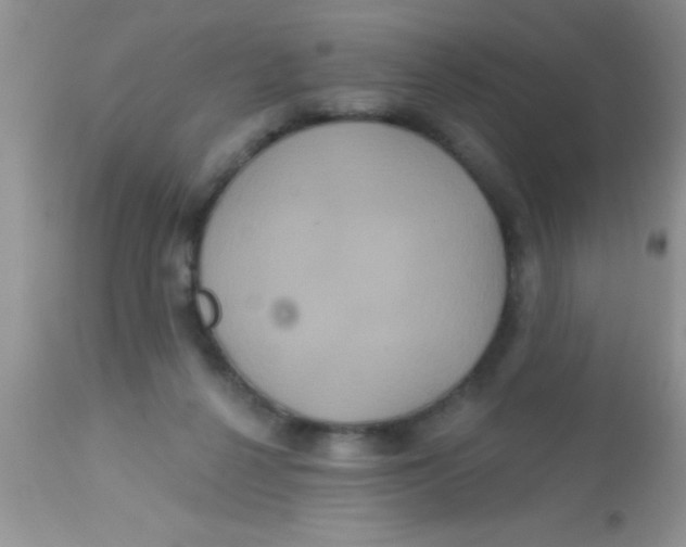 X0000113060264200909182008