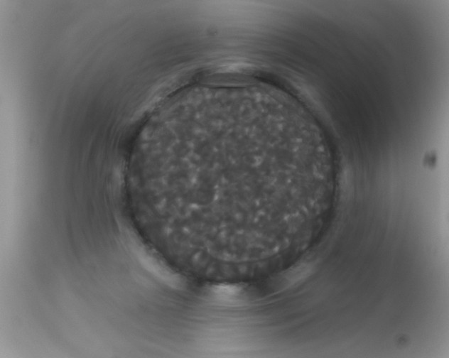 X0000113060265200909182008