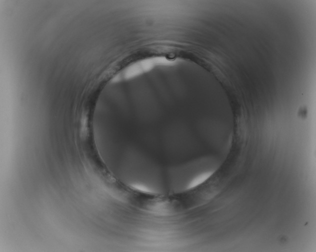 X0000113060267200909182008