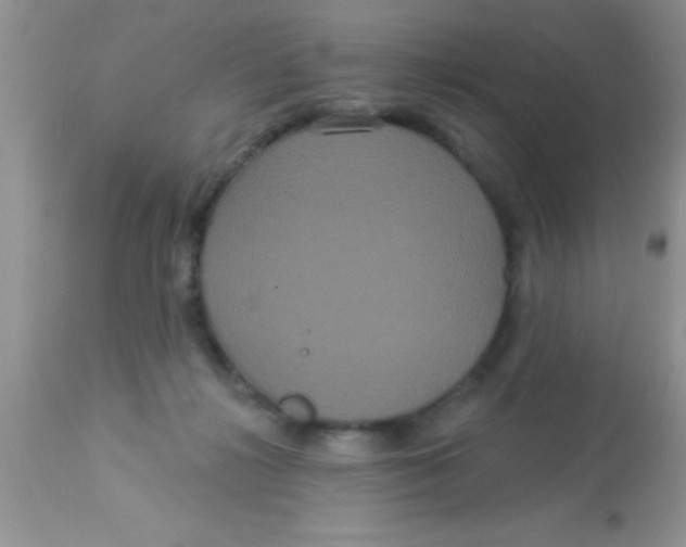 X0000113060268200909182008