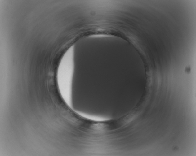 X0000113060269200909182008