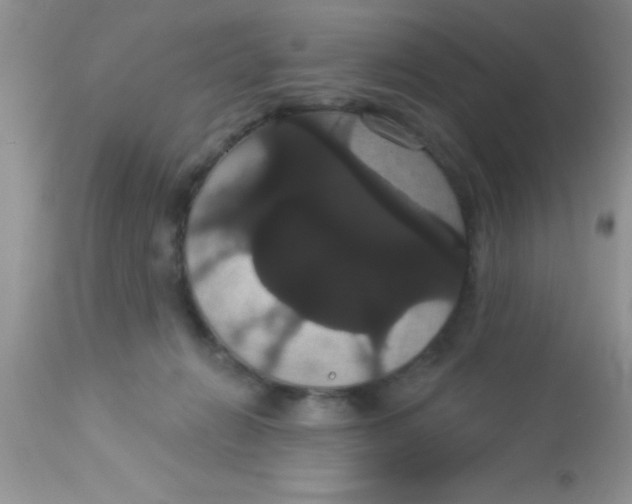 X0000113060270200909182008