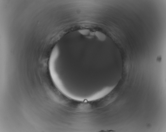 X0000113060271200909182008