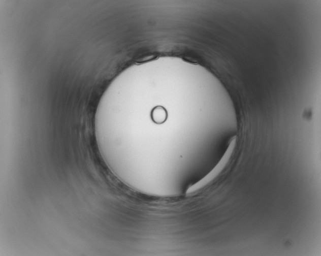 X0000113060272200909182008