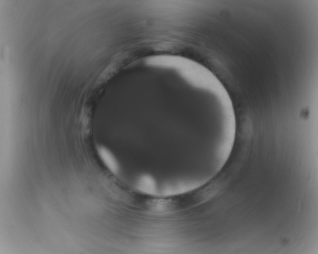 X0000113060273200909182008