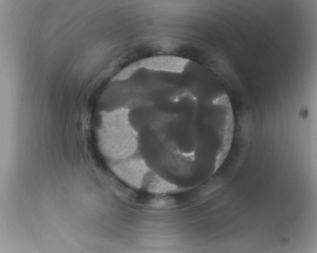 X0000113060274200909182008