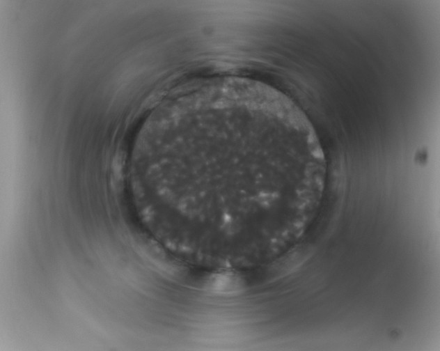 X0000113060275200909182008