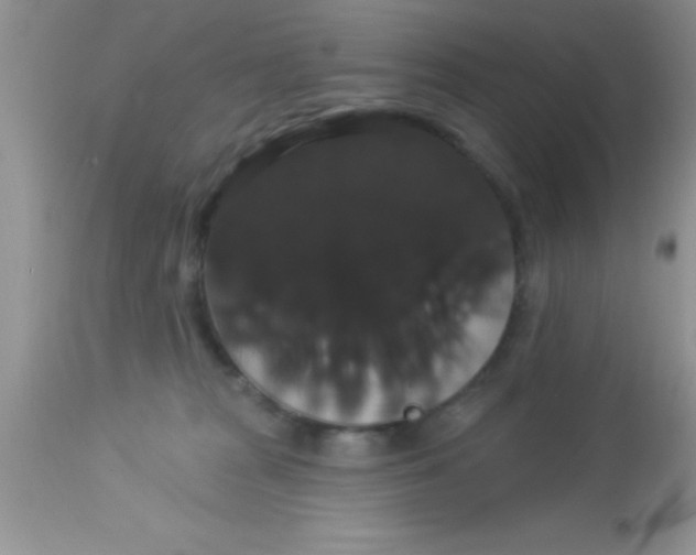 X0000113060277200909182008