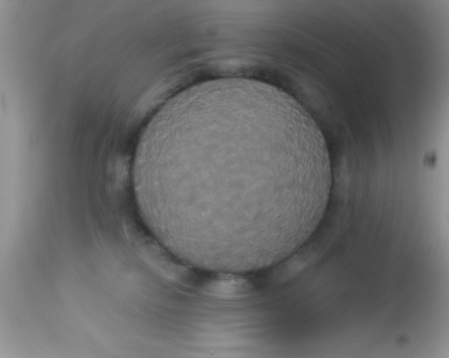 X0000113060278200909182008