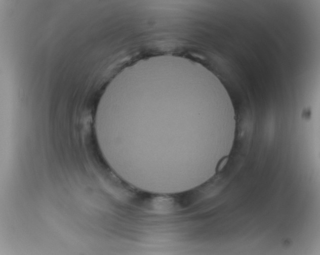 X0000113060279200909182008