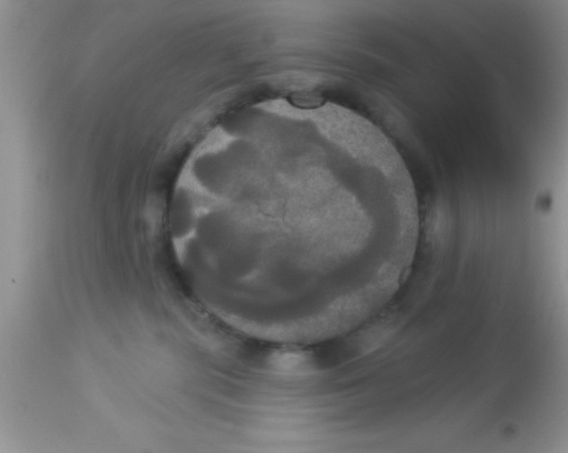 X0000113060283200909182008