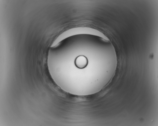 X0000113060284200909182008