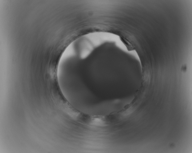 X0000113060285200909182008