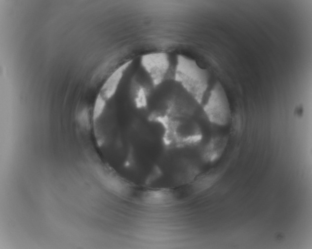 X0000113060286200909182008