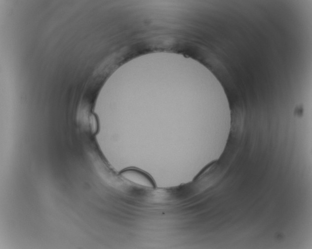 X0000113060287200909182008