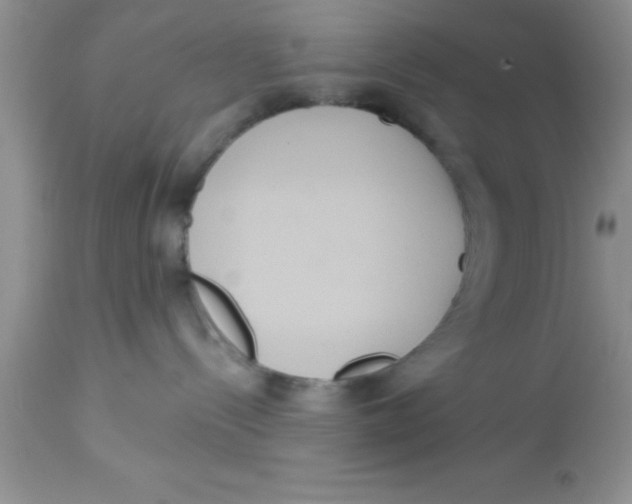 X0000113060288200909182008