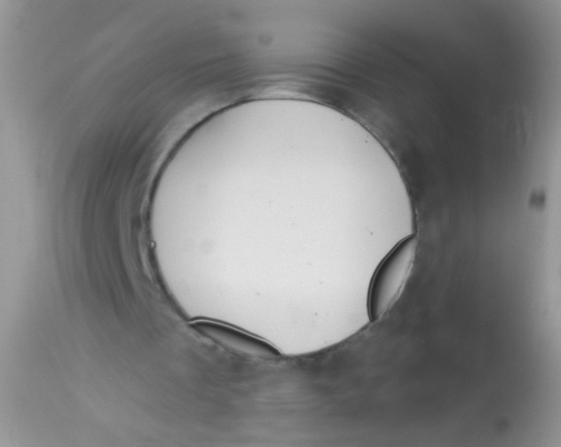 X0000113060289200909182007